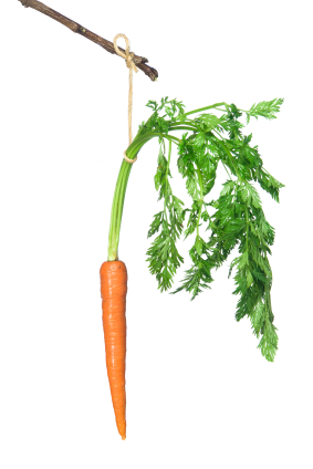 A fresh carrot dangles off of a stick.
